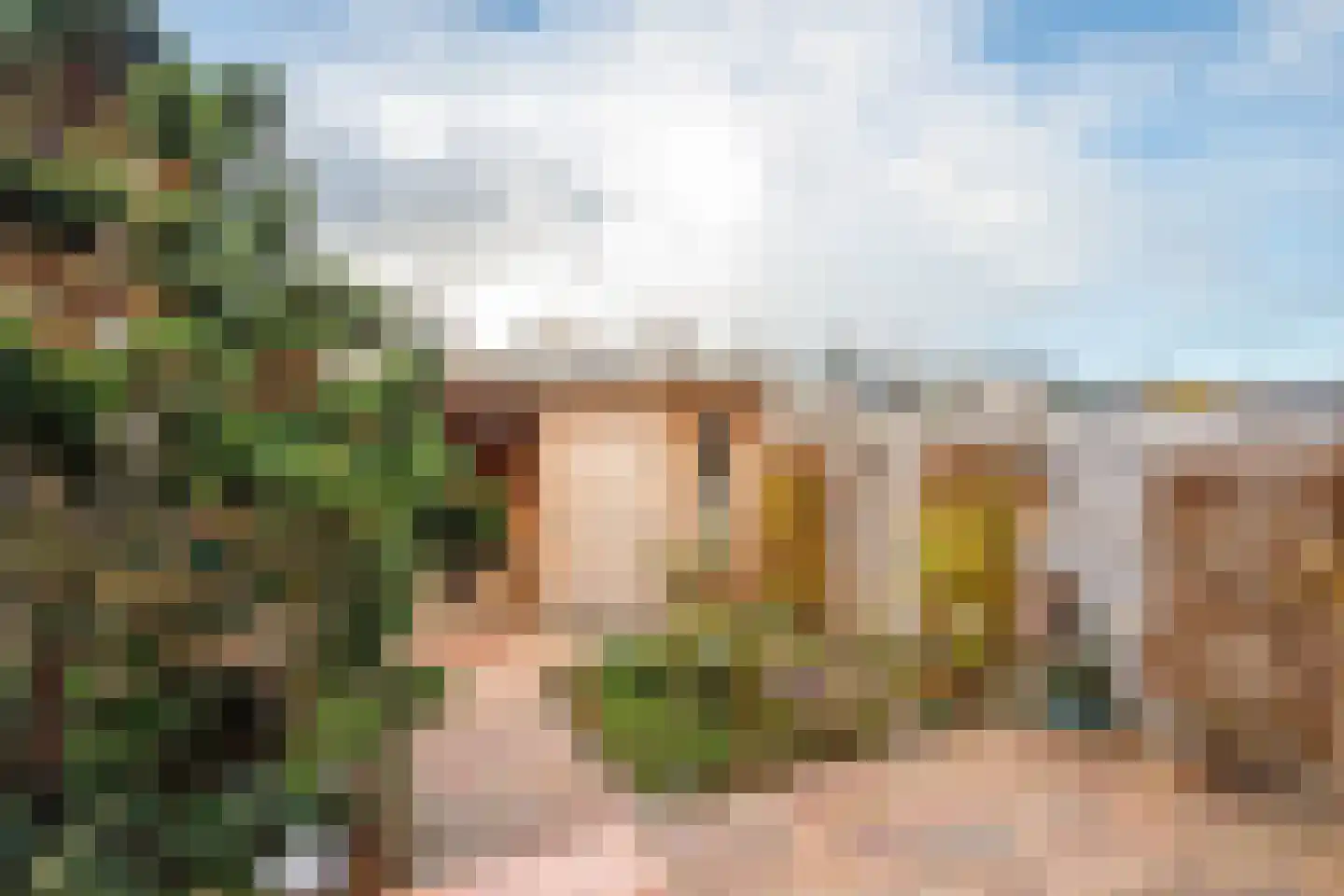 Linnaeushof 6 Schoonhoven thumbnail 36