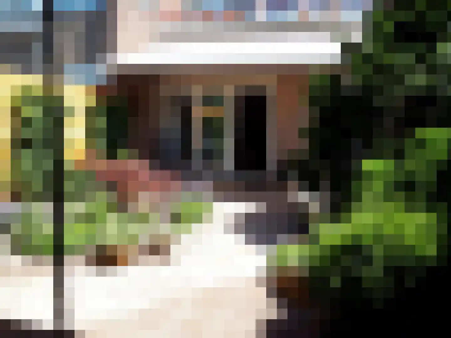Linnaeushof 6 Schoonhoven thumbnail 38