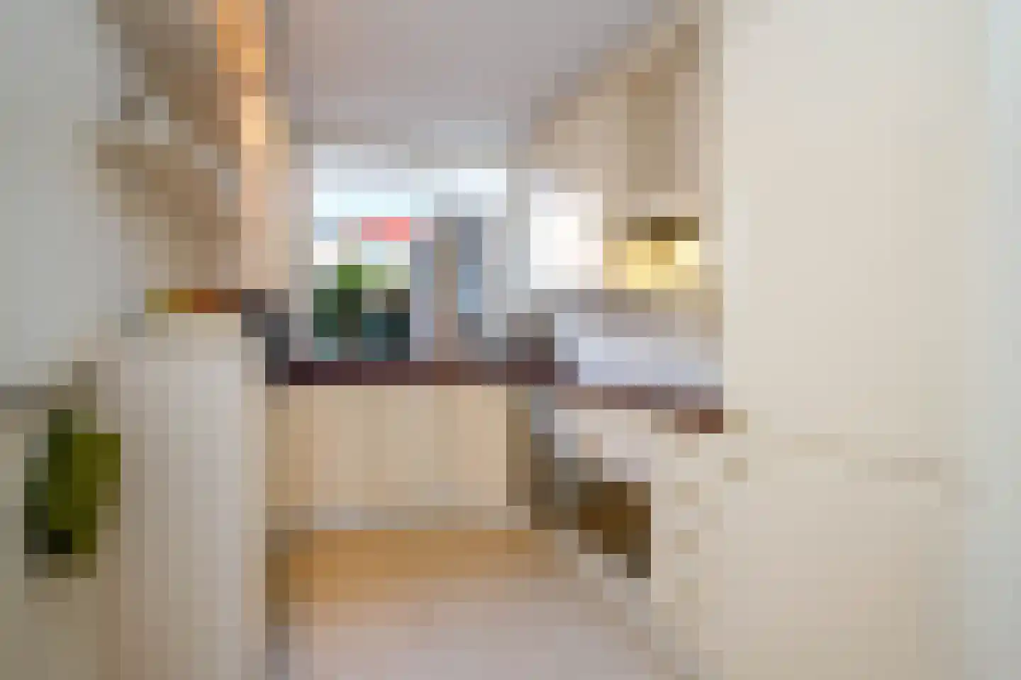 Linnaeushof 6 Schoonhoven thumbnail 4