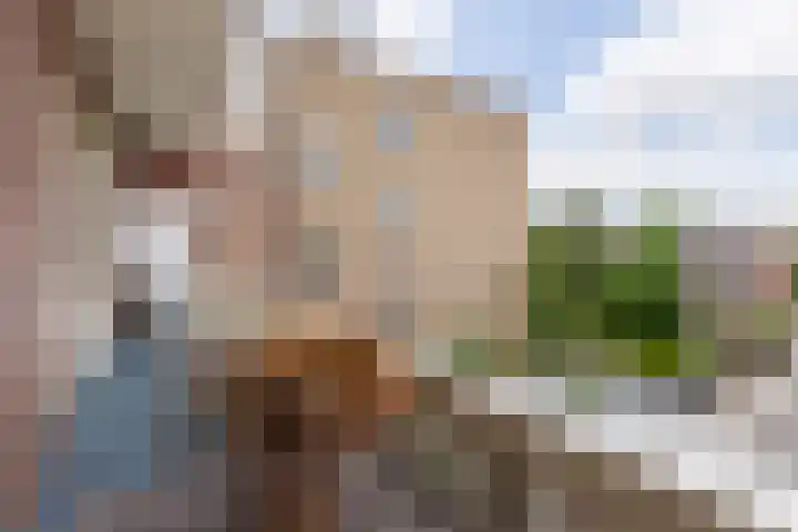 Linnaeushof 9 H Amsterdam thumbnail 20