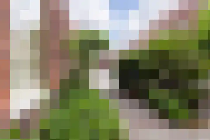 Linnaeushof 9 H Amsterdam thumbnail 4