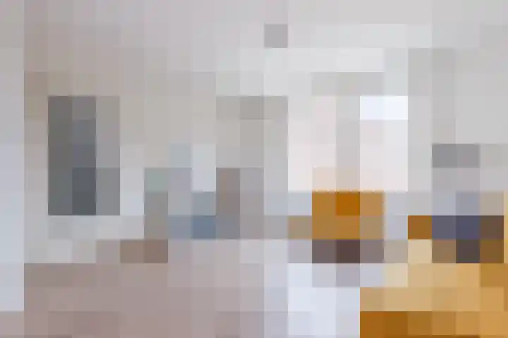 Linnaeushof 9 H Amsterdam thumbnail 6