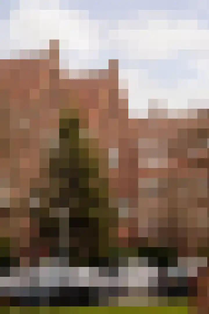 Linnaeushof 95 Amsterdam thumbnail 26