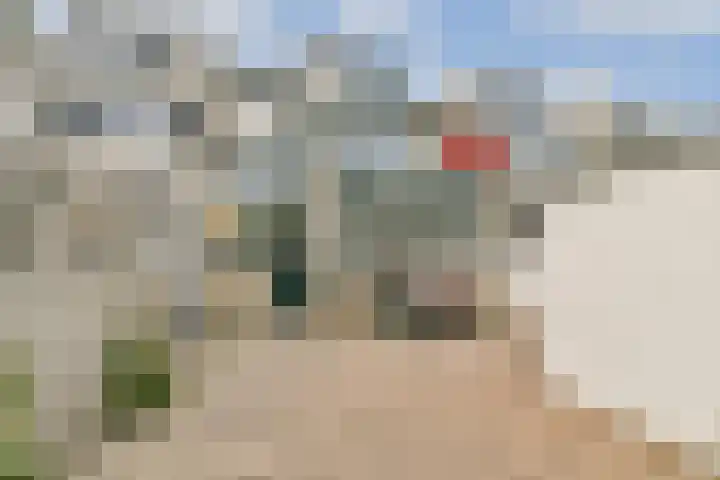 Linnaeushove 6 Sassenheim thumbnail 17