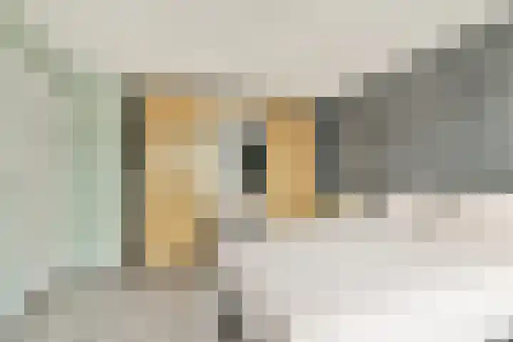 Linnaeushove 6 Sassenheim thumbnail 21