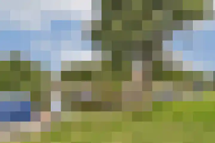 Linnaeushove 6 Sassenheim thumbnail 29