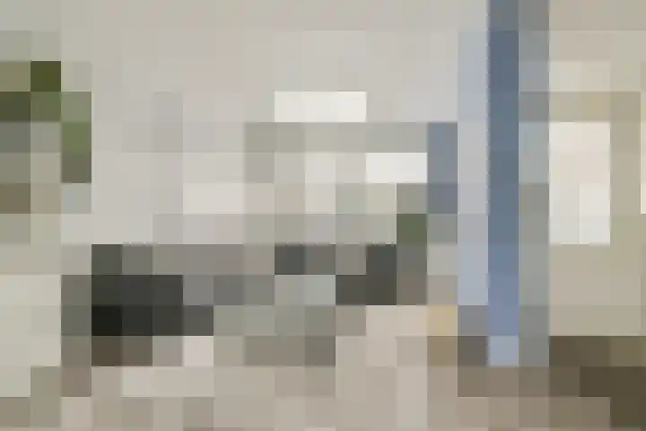 Linnaeushove 6 Sassenheim thumbnail 4
