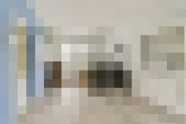 Linnaeushove 6 Sassenheim thumbnail 5