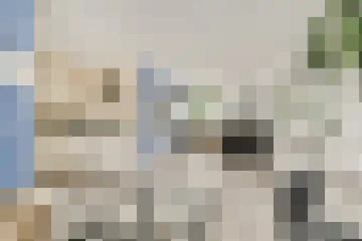 Linnaeushove 6 Sassenheim thumbnail 6