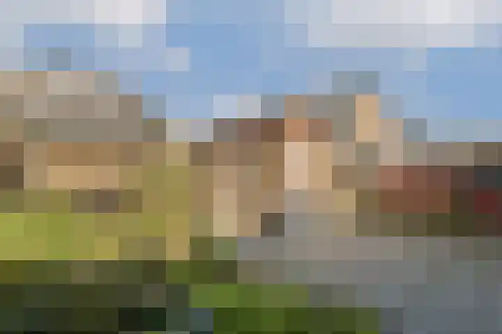 Linnaeushove 8 Sassenheim thumbnail 13