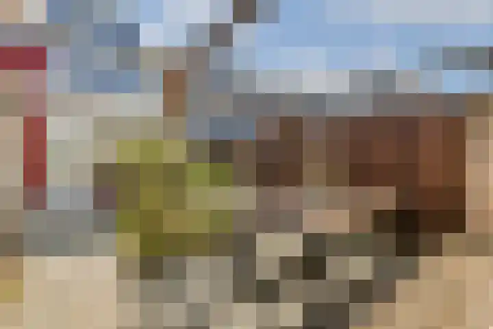 Linnaeushove 8 Sassenheim thumbnail 15