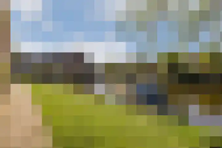 Linnaeushove 8 Sassenheim thumbnail 27