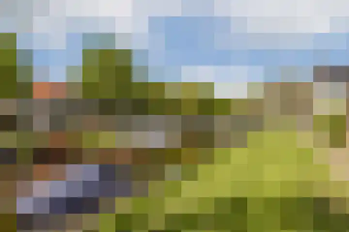 Linnaeushove 8 Sassenheim thumbnail 28