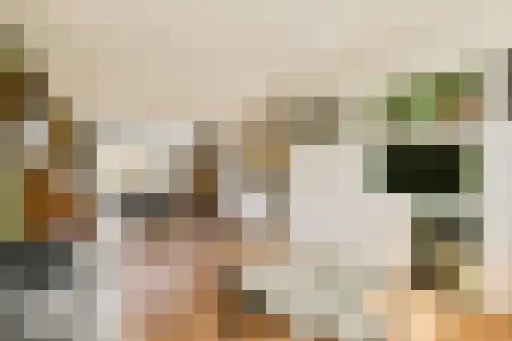 Linnaeushove 8 Sassenheim thumbnail 5