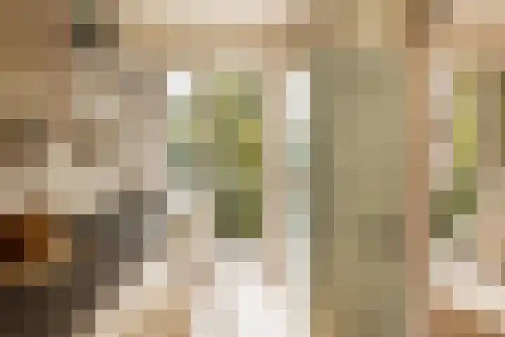 Linnaeuskade 32 2 Amsterdam thumbnail 12