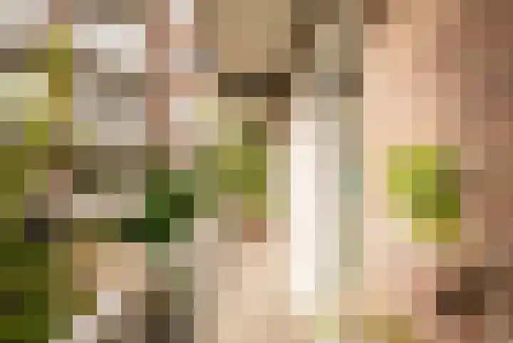 Linnaeuskade 32 2 Amsterdam thumbnail 14