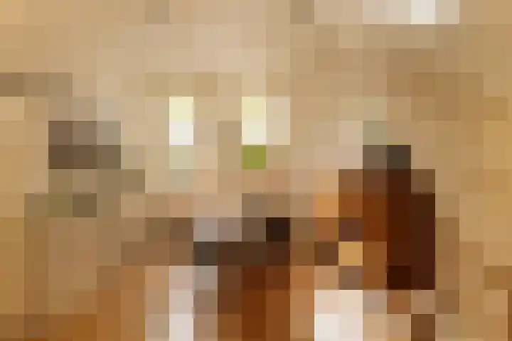 Linnaeuskade 32 2 Amsterdam thumbnail 17