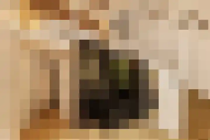 Linnaeuskade 32 2 Amsterdam thumbnail 21