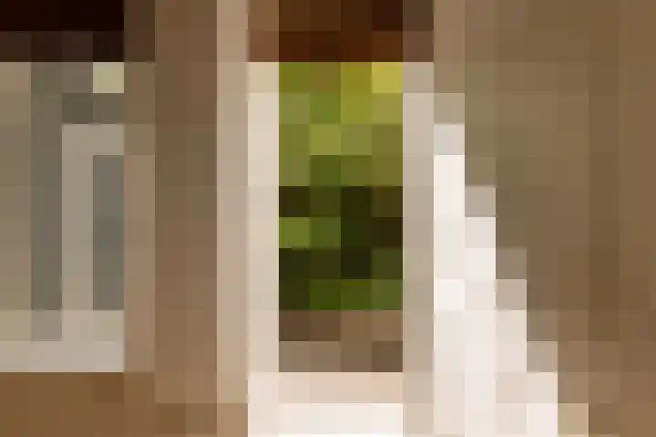 Linnaeuskade 32 2 Amsterdam thumbnail 25
