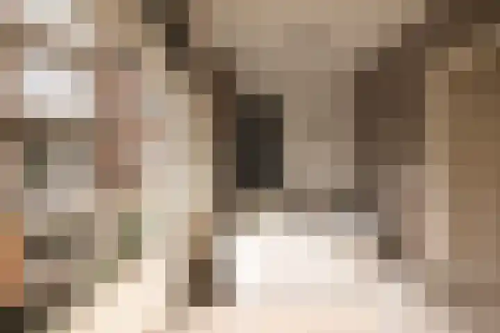 Linnaeuskade 32 2 Amsterdam thumbnail 32
