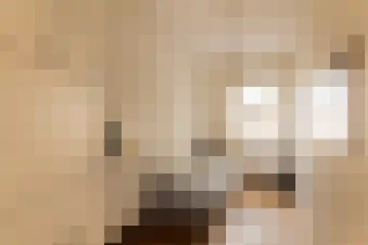 Linnaeuskade 32 2 Amsterdam thumbnail 36