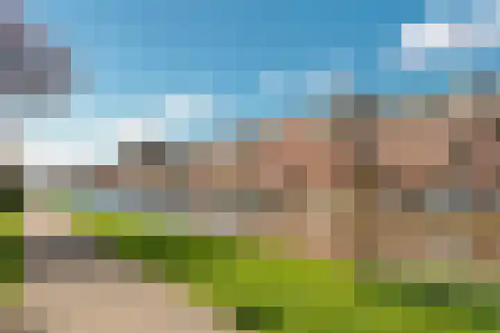 Linnaeuskade 32 2 Amsterdam thumbnail 4