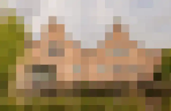 Linnaeuskade 32 2 Amsterdam thumbnail 41