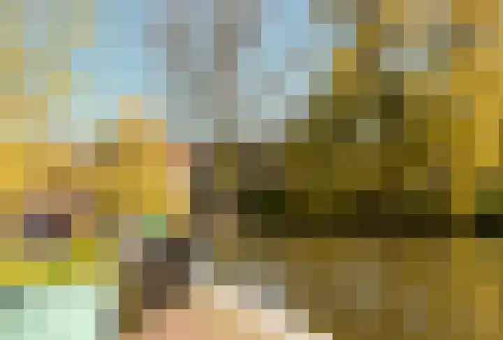 Linnaeuskade 32 2 Amsterdam thumbnail 43
