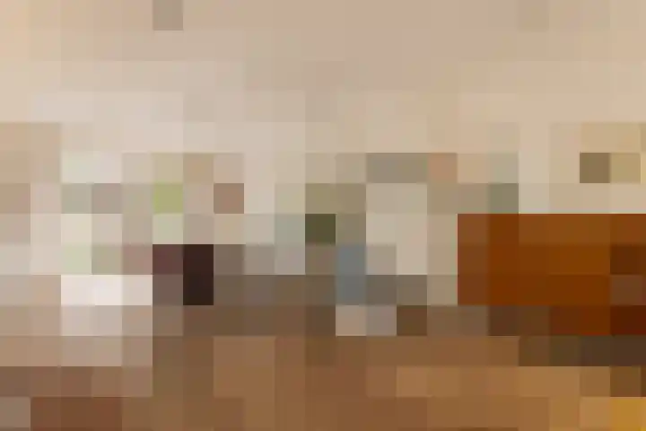 Linnaeuskade 32 2 Amsterdam thumbnail 6