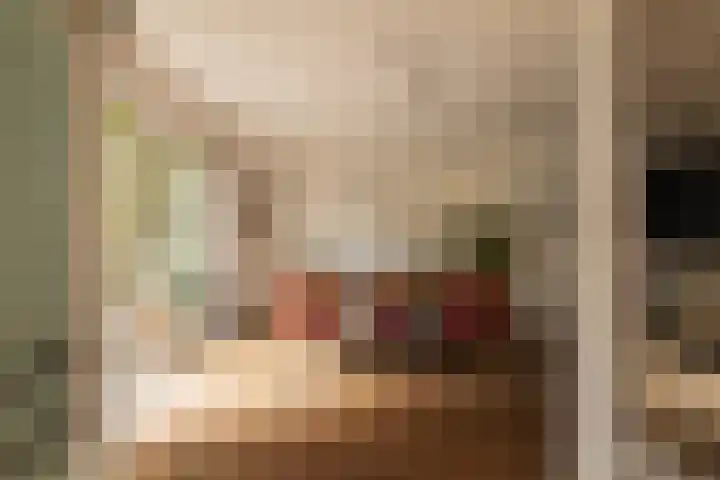 Linnaeuskade 32 2 Amsterdam thumbnail 9