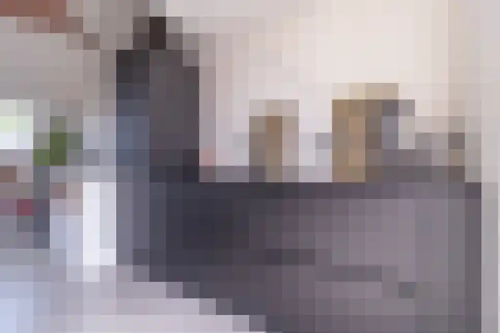 Linnaeuskade 39 H Amsterdam thumbnail 5