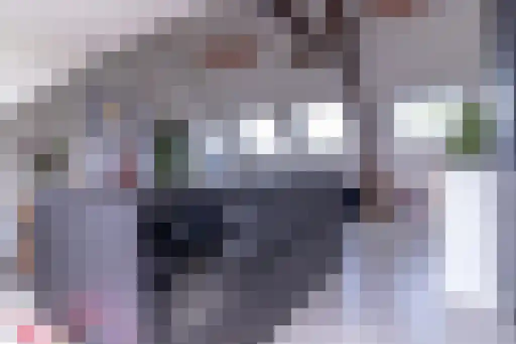 Linnaeuskade 39 H Amsterdam thumbnail 6