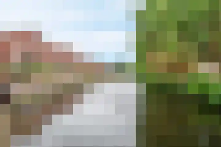 Linnaeuskade 45 A Amsterdam thumbnail 15