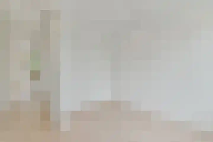 Linnaeuskade 45 A Amsterdam thumbnail 6