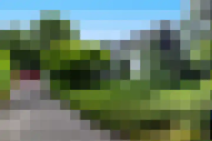 Linnaeuslaan 1 Harderwijk thumbnail 10