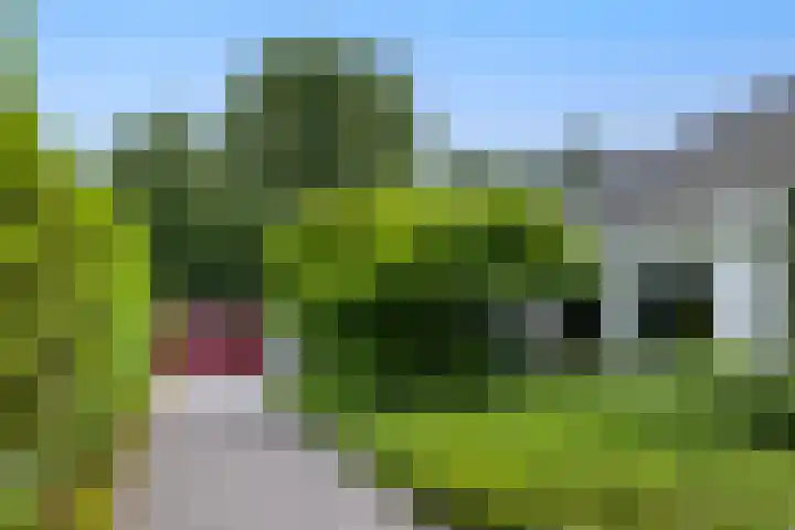 Linnaeuslaan 1 Harderwijk thumbnail 12
