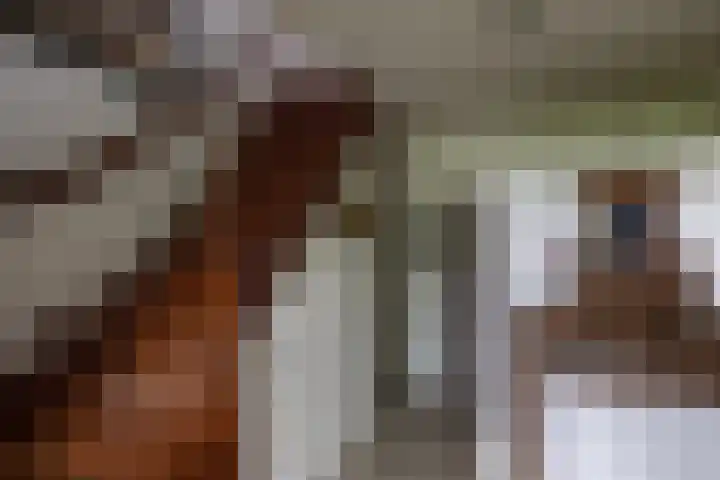 Linnaeuslaan 1 Harderwijk thumbnail 14