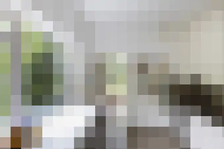Linnaeuslaan 1 Harderwijk thumbnail 21