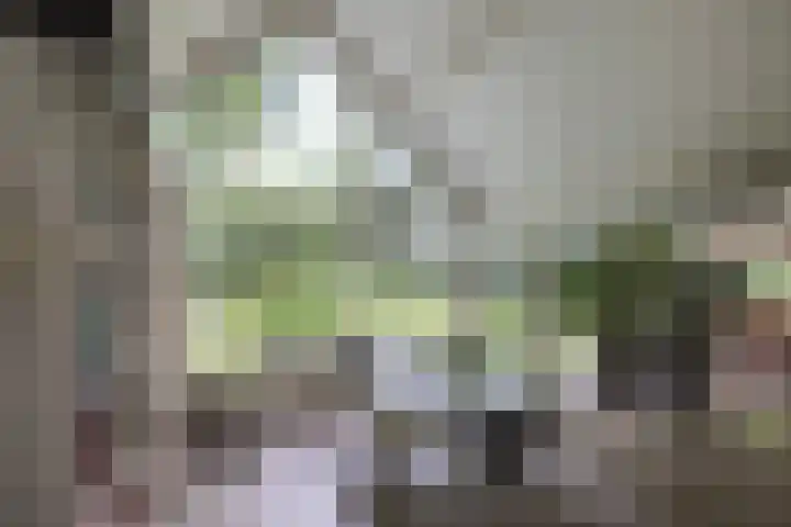 Linnaeuslaan 1 Harderwijk thumbnail 23