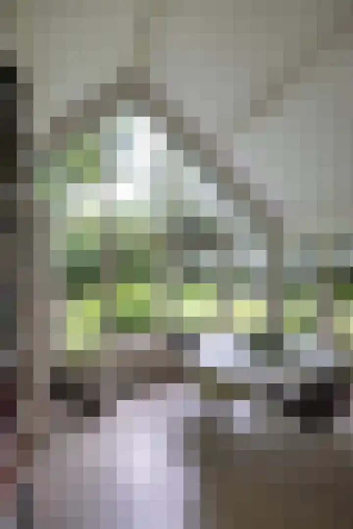 Linnaeuslaan 1 Harderwijk thumbnail 24