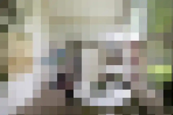 Linnaeuslaan 1 Harderwijk thumbnail 25