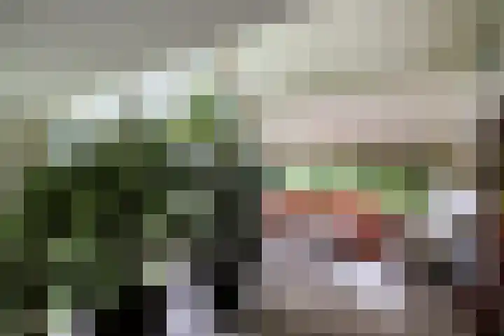 Linnaeuslaan 1 Harderwijk thumbnail 26