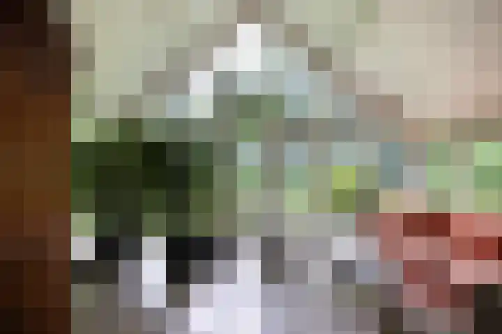 Linnaeuslaan 1 Harderwijk thumbnail 28
