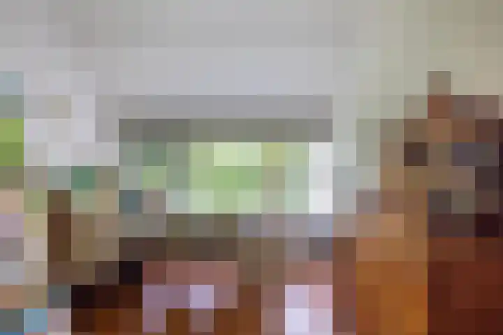 Linnaeuslaan 1 Harderwijk thumbnail 30