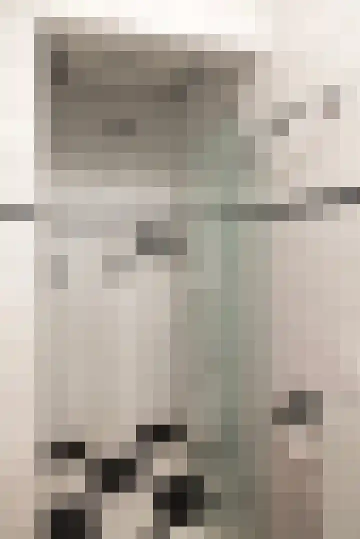 Linnaeuslaan 1 Harderwijk thumbnail 32