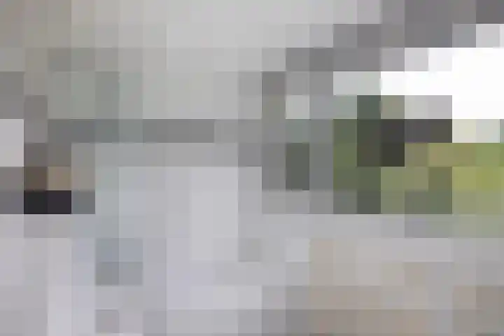 Linnaeuslaan 1 Harderwijk thumbnail 37