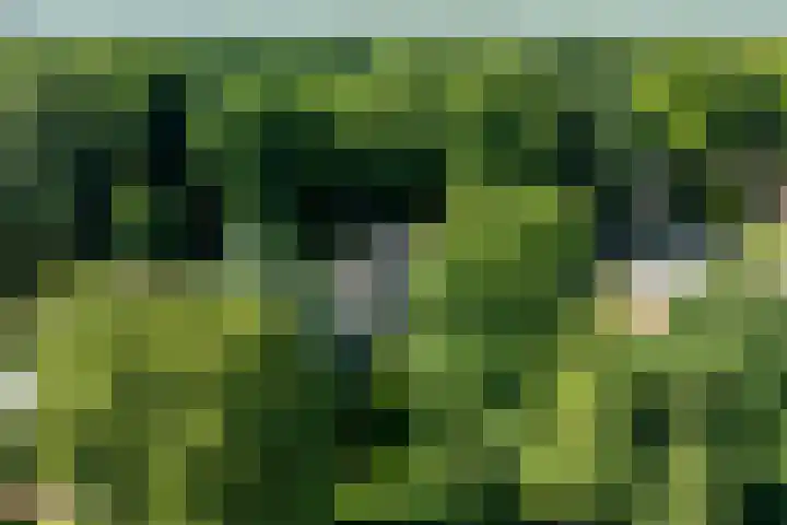 Linnaeuslaan 1 Harderwijk thumbnail 4