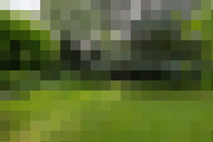 Linnaeuslaan 1 Harderwijk thumbnail 41