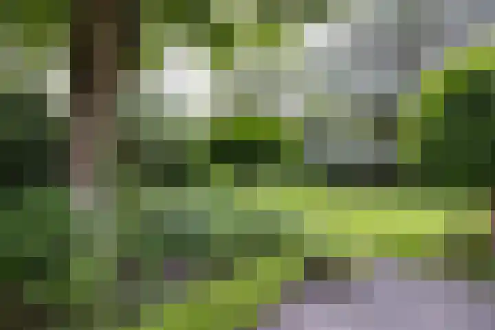 Linnaeuslaan 1 Harderwijk thumbnail 43