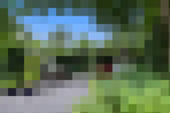 Linnaeuslaan 1 Harderwijk thumbnail 44